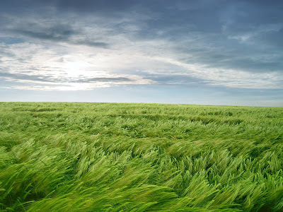 wallpaper high definition. wallpaper hd. wallpaper high definition.