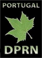 DPRN