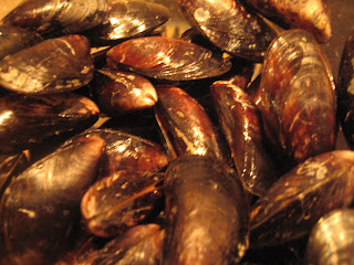 Fresh Irish Mussels @ Whats for Dinner