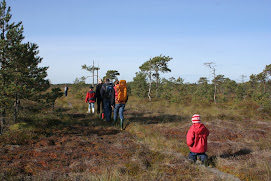 Eesti on ilus.