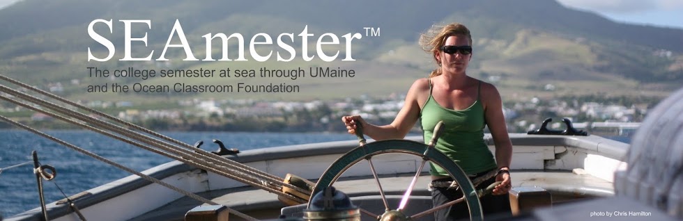SEAmester