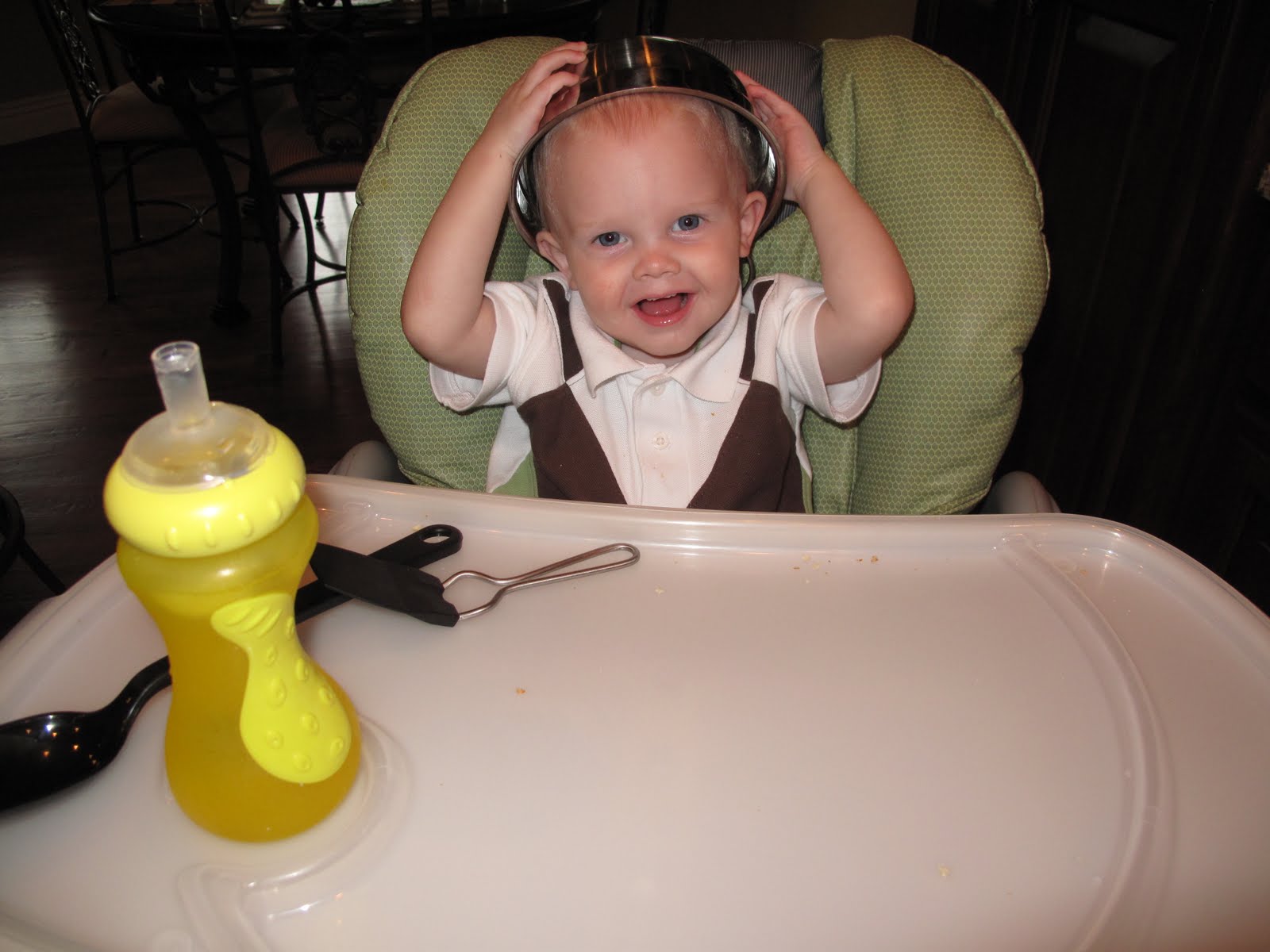 Jenna Blogs: Cookie Dilemma