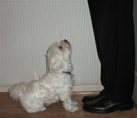 Sniffer Hypnotizes Daa