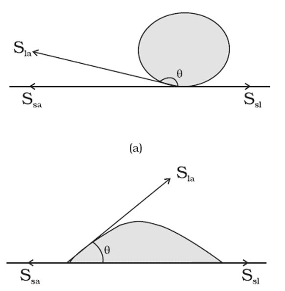 Physics Complete Angle of Contact and Surface Tension