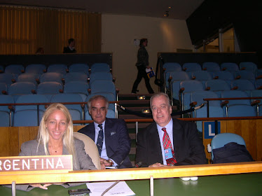 Naciones Unidas 2008