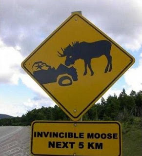 fun,moose,sign,funny,warning-e6ec58f4a7e5962acb5297f7b15b4ae3_h.jpg