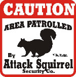 Attack Squirrel