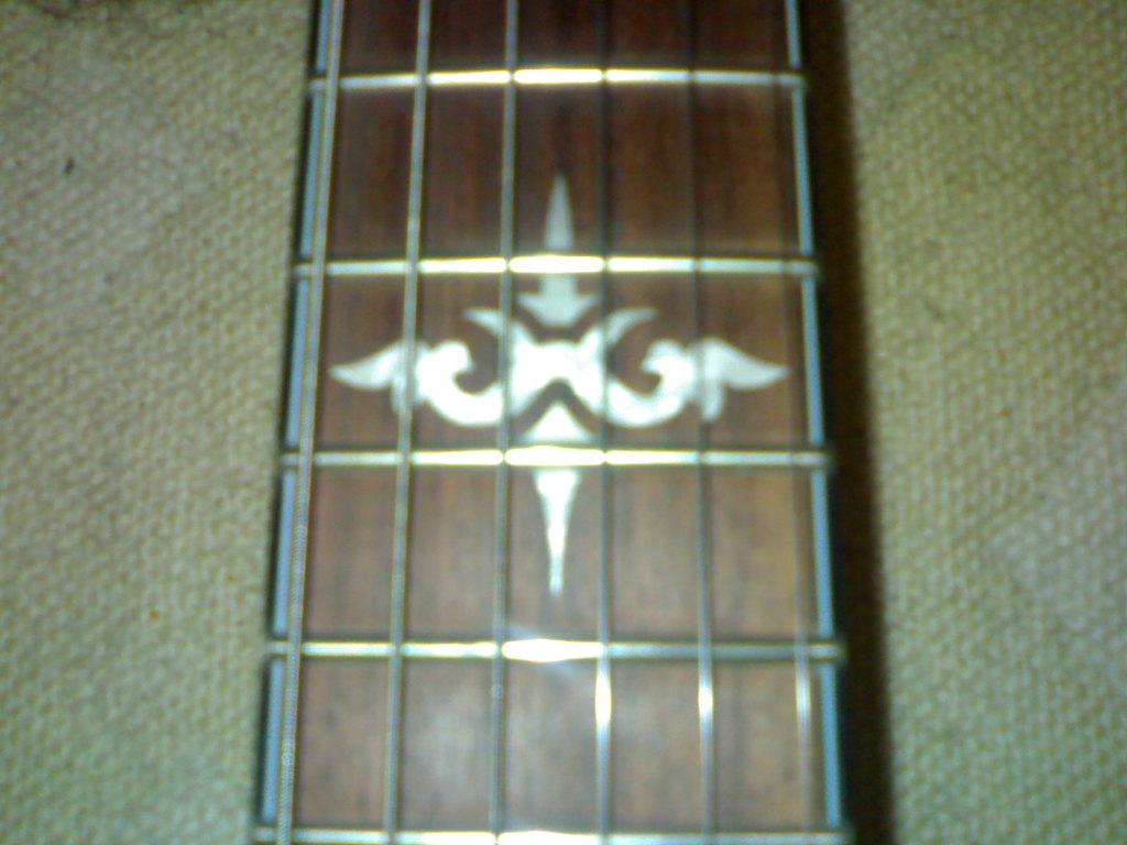 [03062008201.jpg]