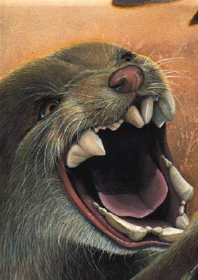 cave bear Megalania+vs+