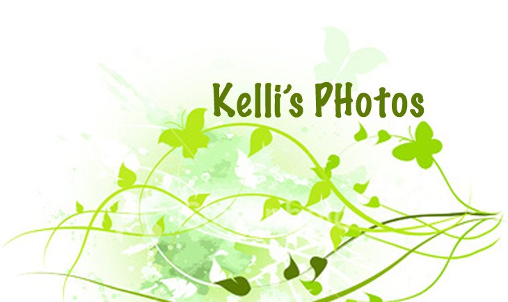 Kelli's Photo Blog
