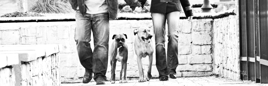 Stacey Kyler Photography