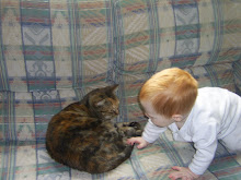Our Cat