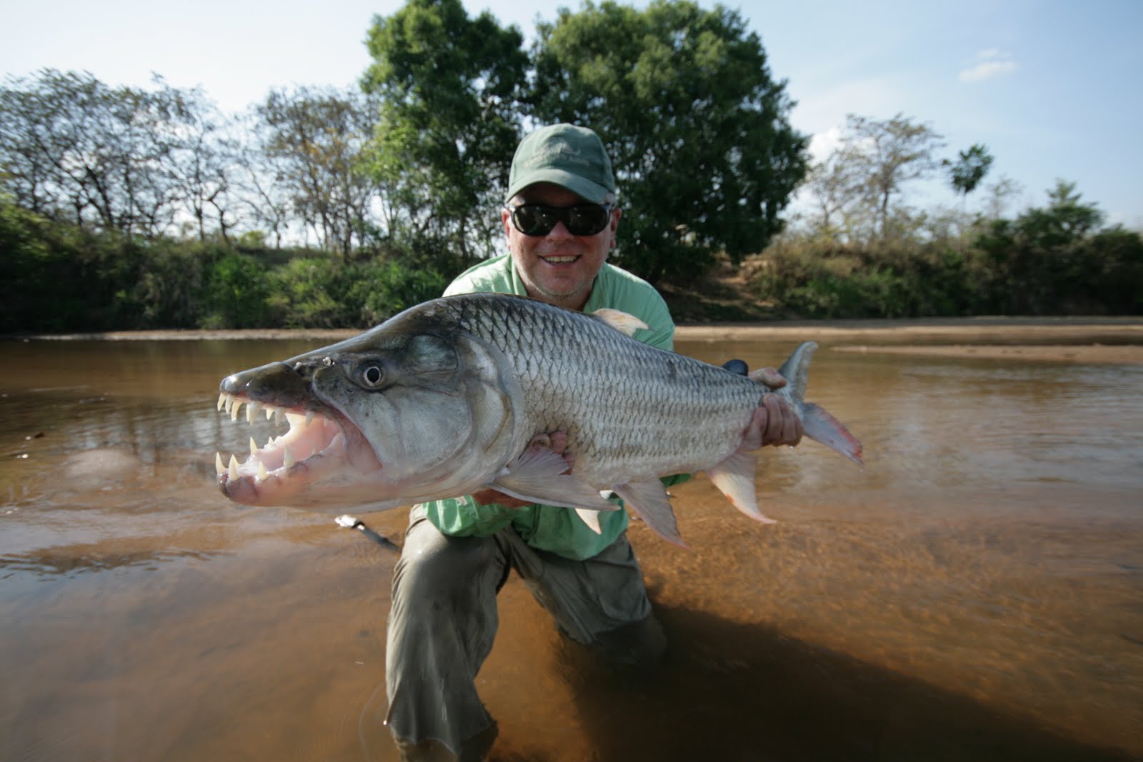 THE FISHING NEWS TROPHY FISH REPRODUCTIONS