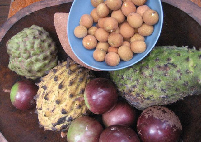 [exotic_fruit.jpg]