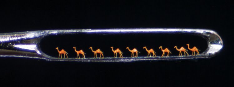 Berliner Zeitung 21 02 2019