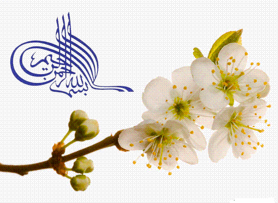 wallpaper islamic 2011. wallpaper islamic 2011. Islamic Wallpaper; Islamic Wallpaper
