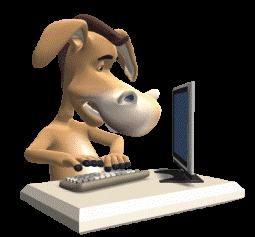 [Burro+no+pc.JPG]