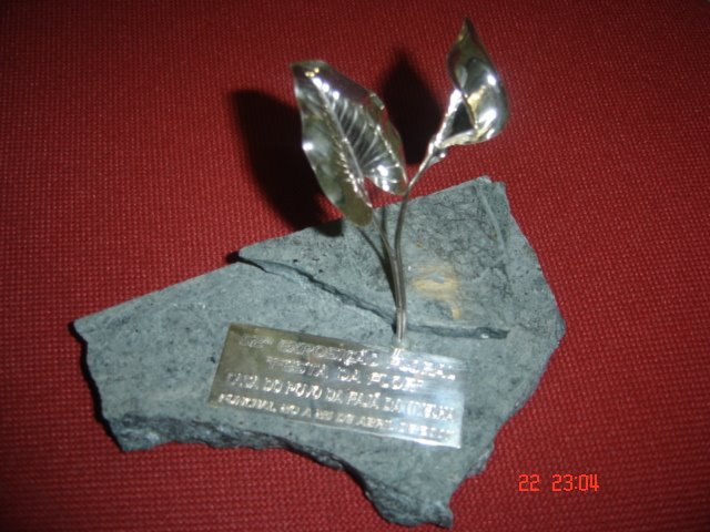 [DSC09299.JPG]