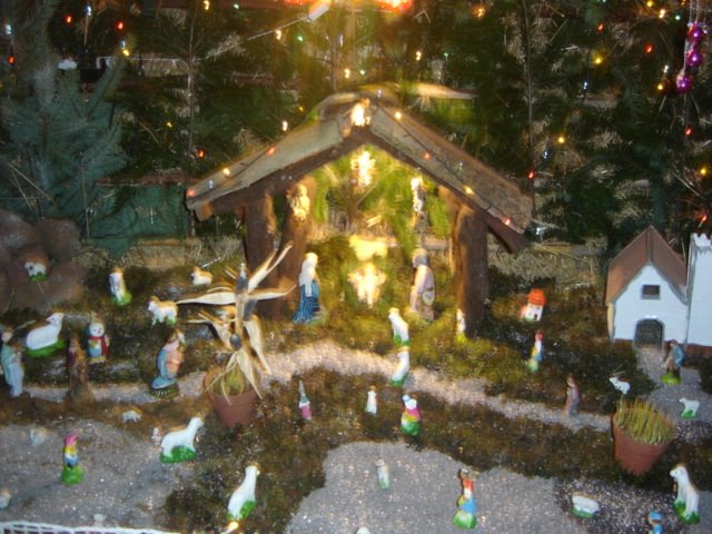 [DSC01472.JPG]