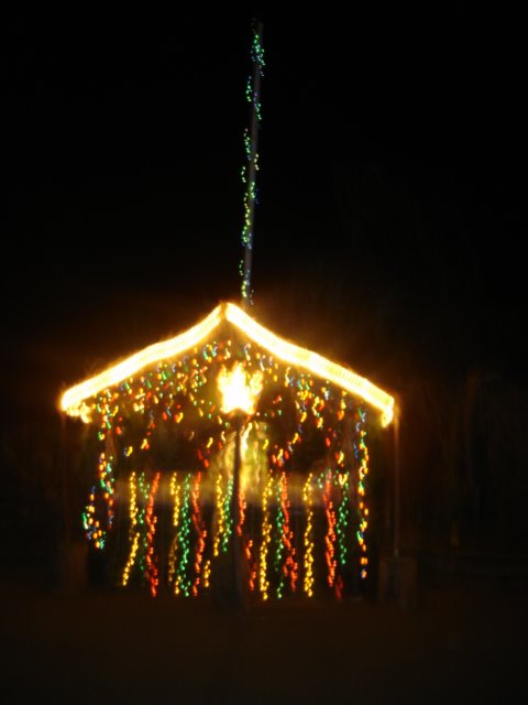 [DSC01470.JPG]