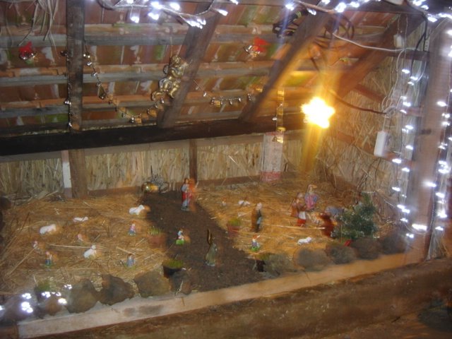 [DSC01465.JPG]