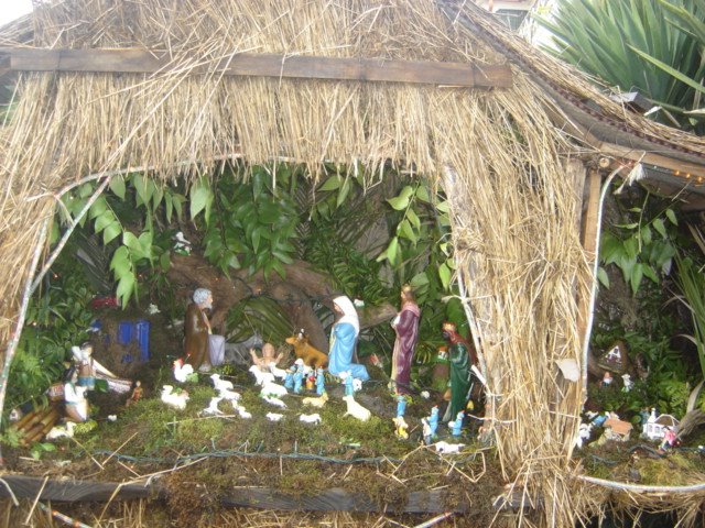 [DSC01474.JPG]