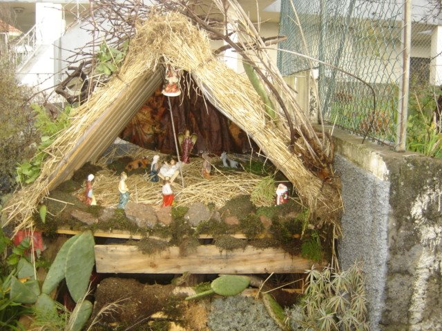 [DSC01477.JPG]