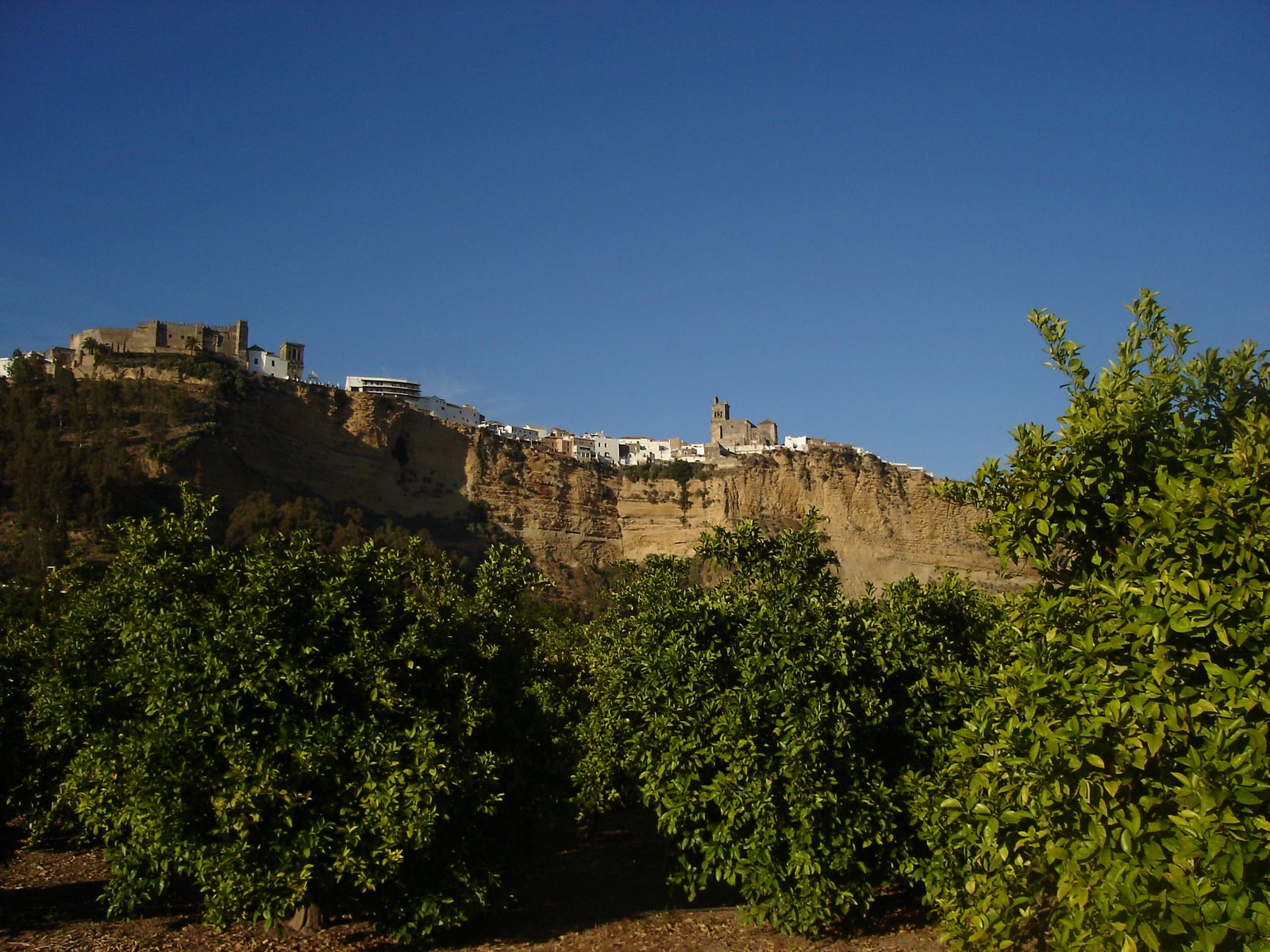 [DSC00785.JPG]