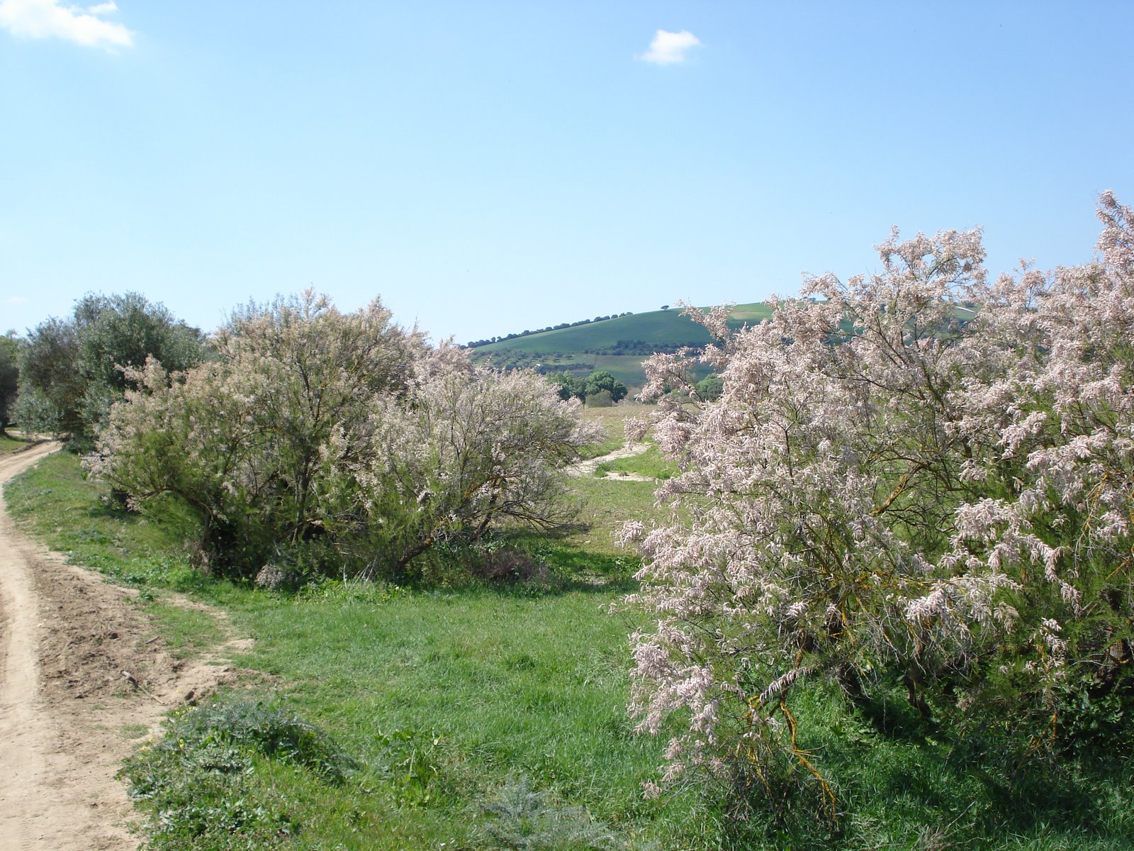 [DSC04310.JPG]