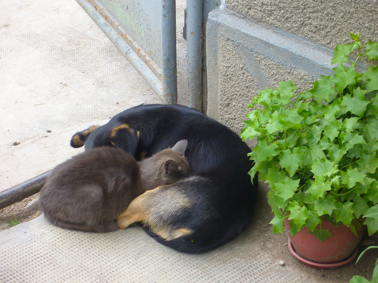 [P1090682.JPG]