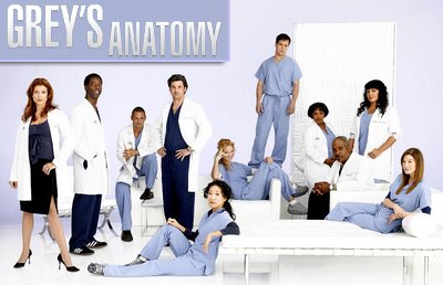 [greys-anatomy-guide.jpg]
