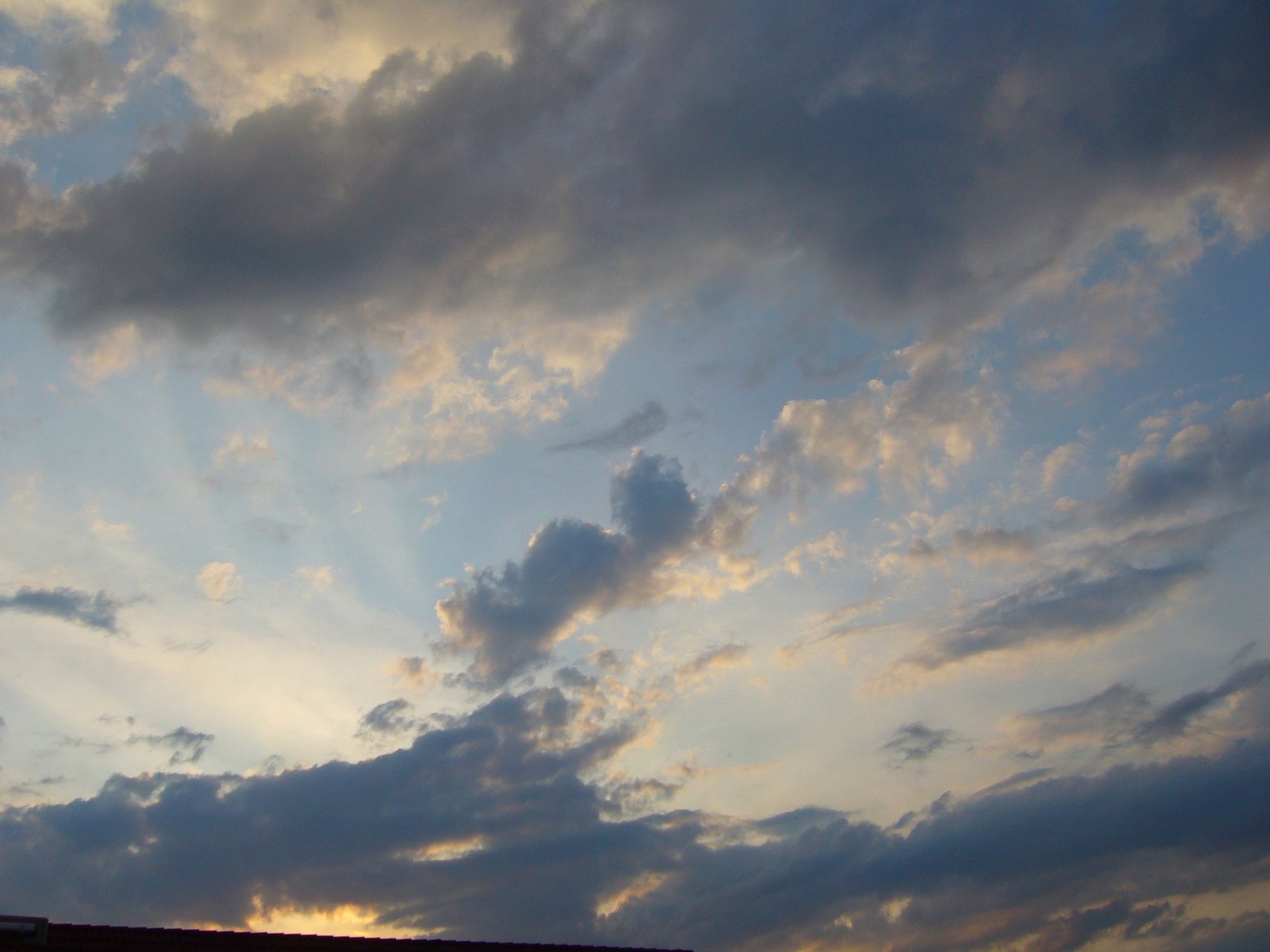 [P1100427.JPG]