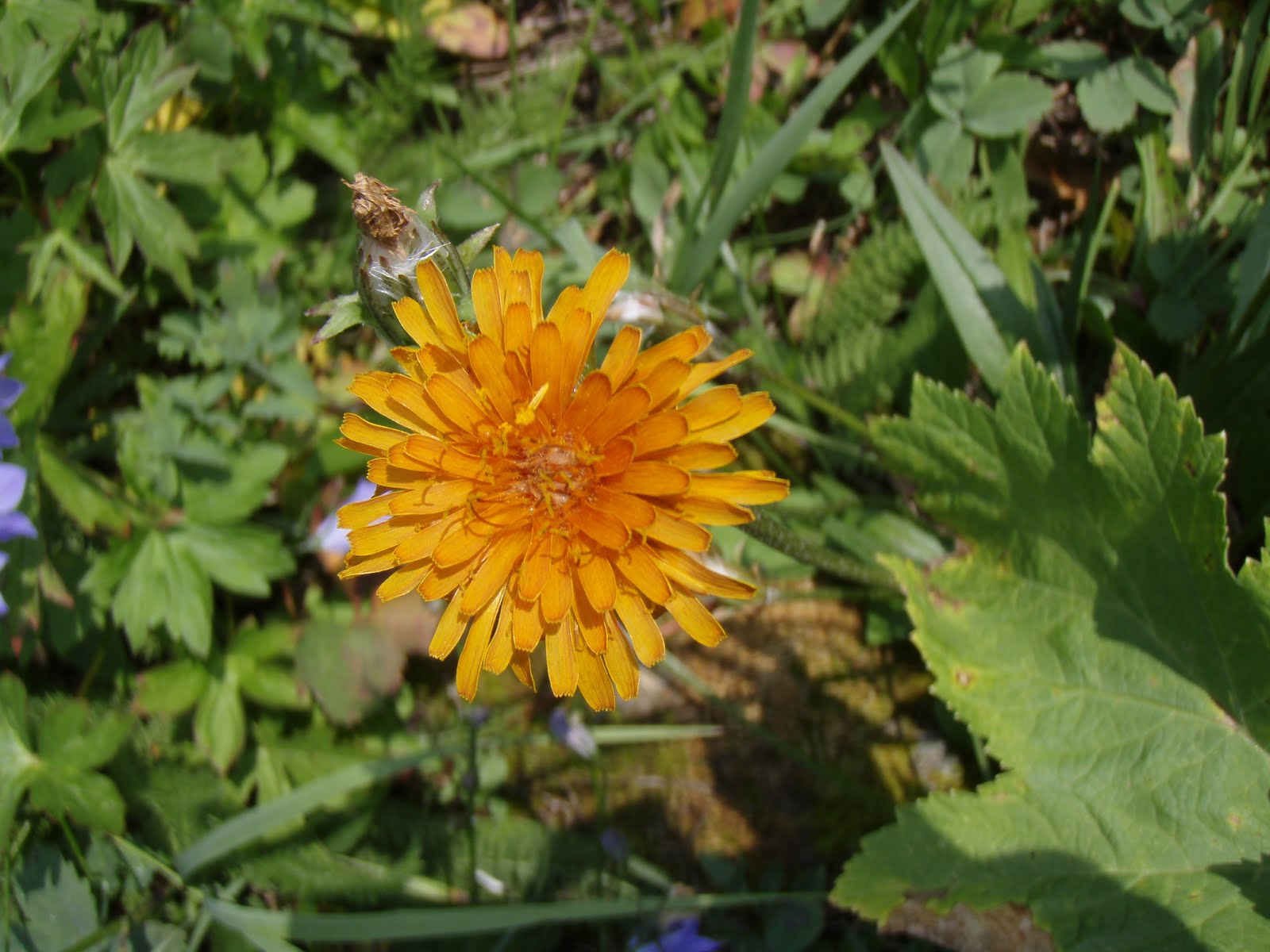 [P8091530.JPG]