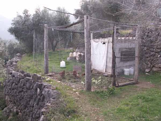 build a cheap chicken house