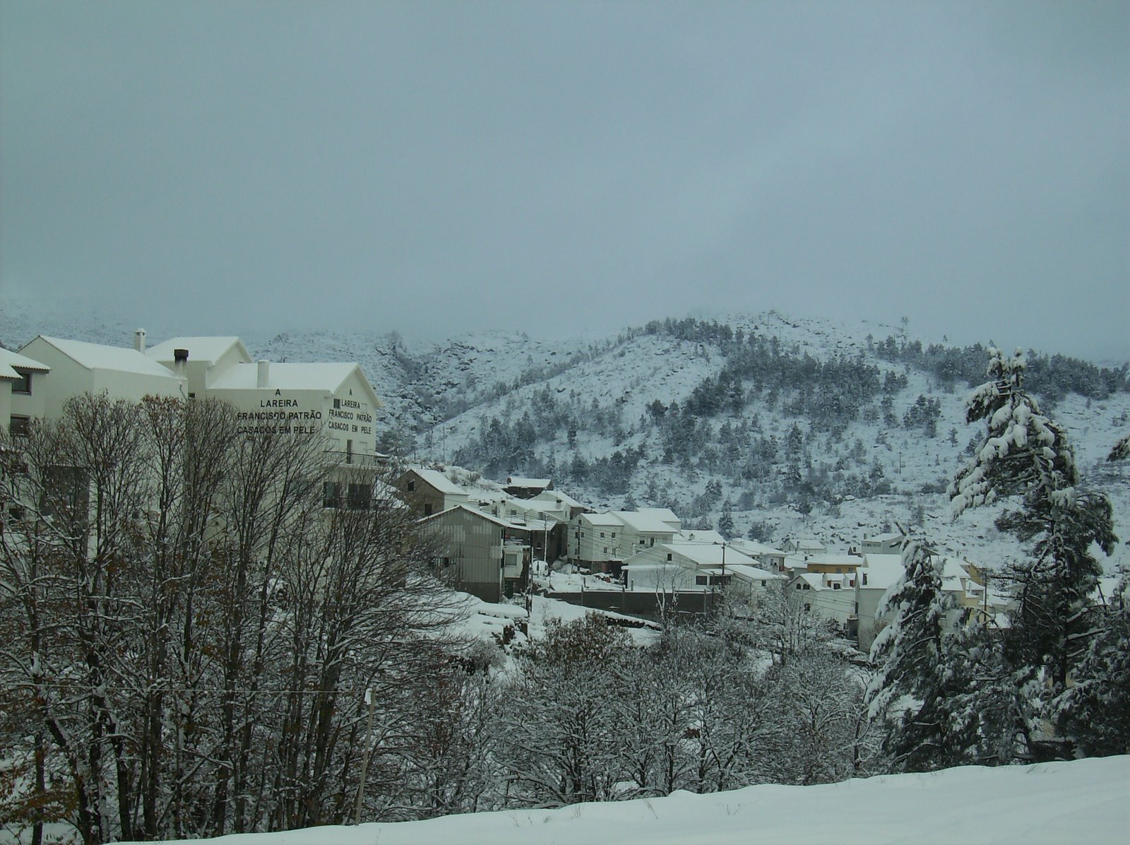 [nevãoNov2008+039.jpg]