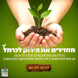 קק"ל - מחזירים את הירוק לכרמל