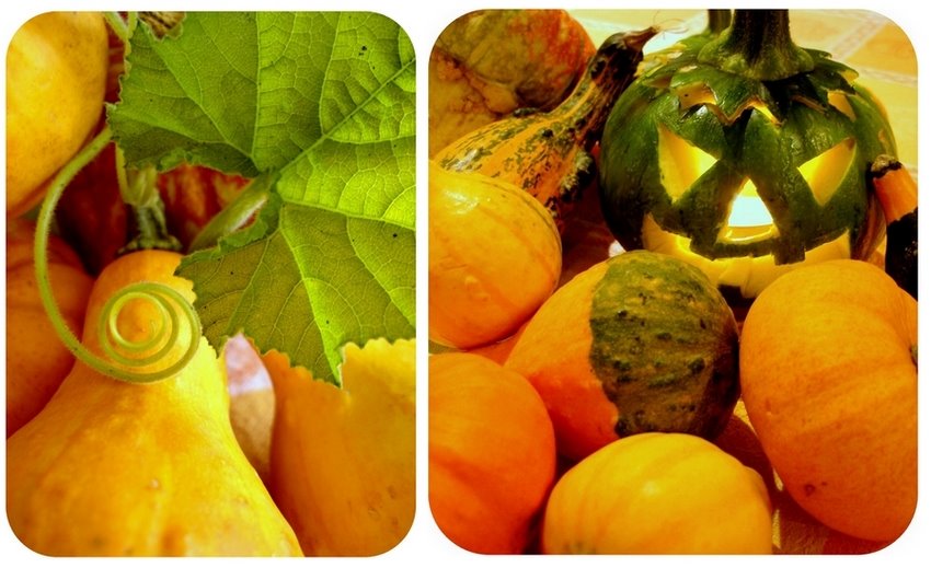 Mon quatre heures bricoleur Muffins au potiron et aux noix