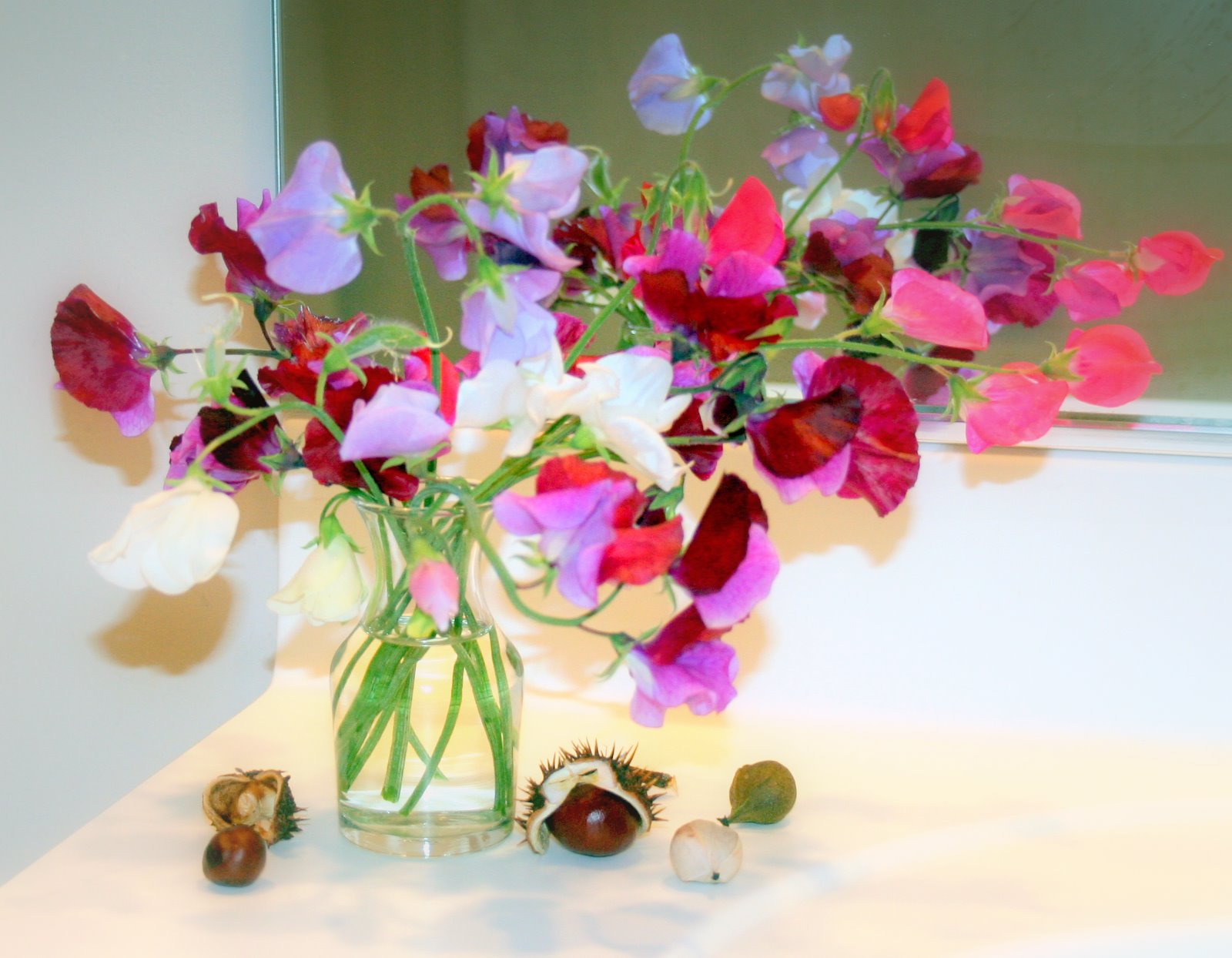 [sweet+peas+017.JPG]