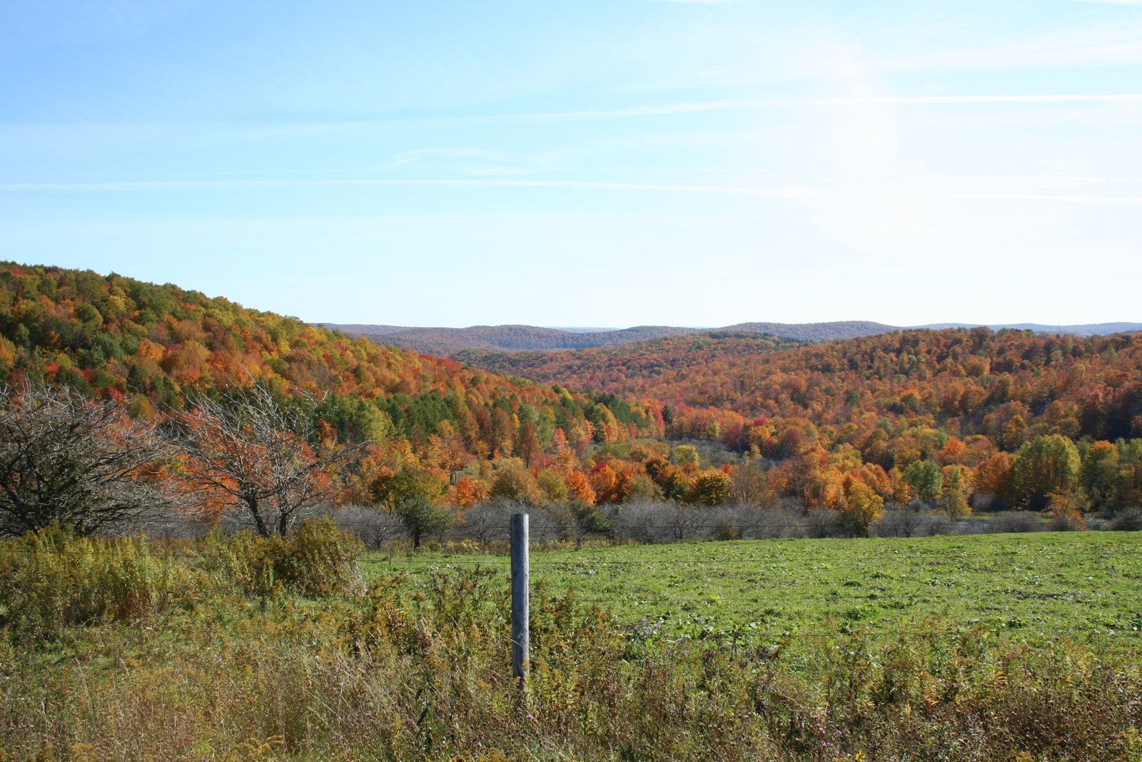 [pumpkinville+2008+074.JPG]
