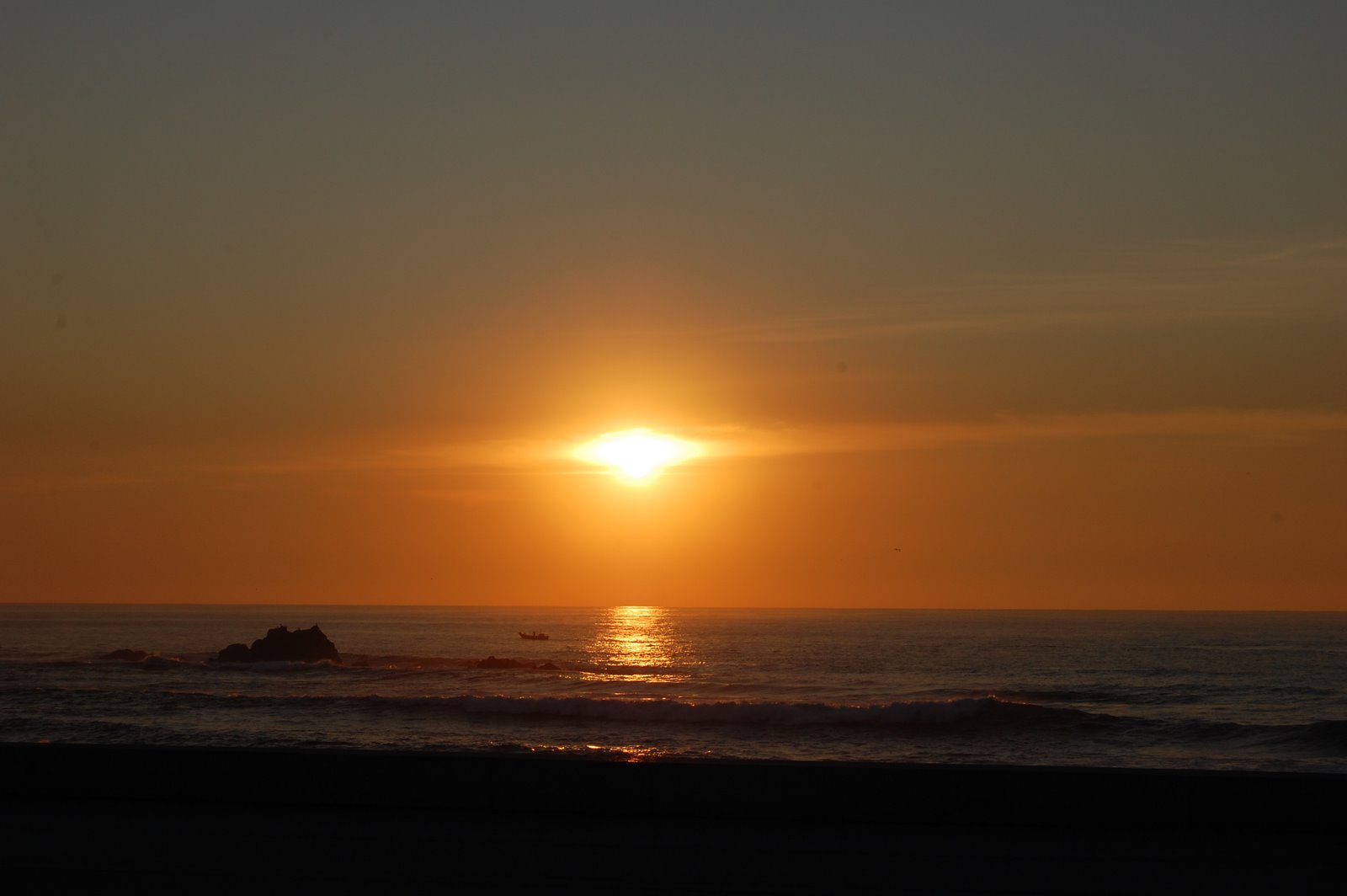 [DSC_0042.JPG]