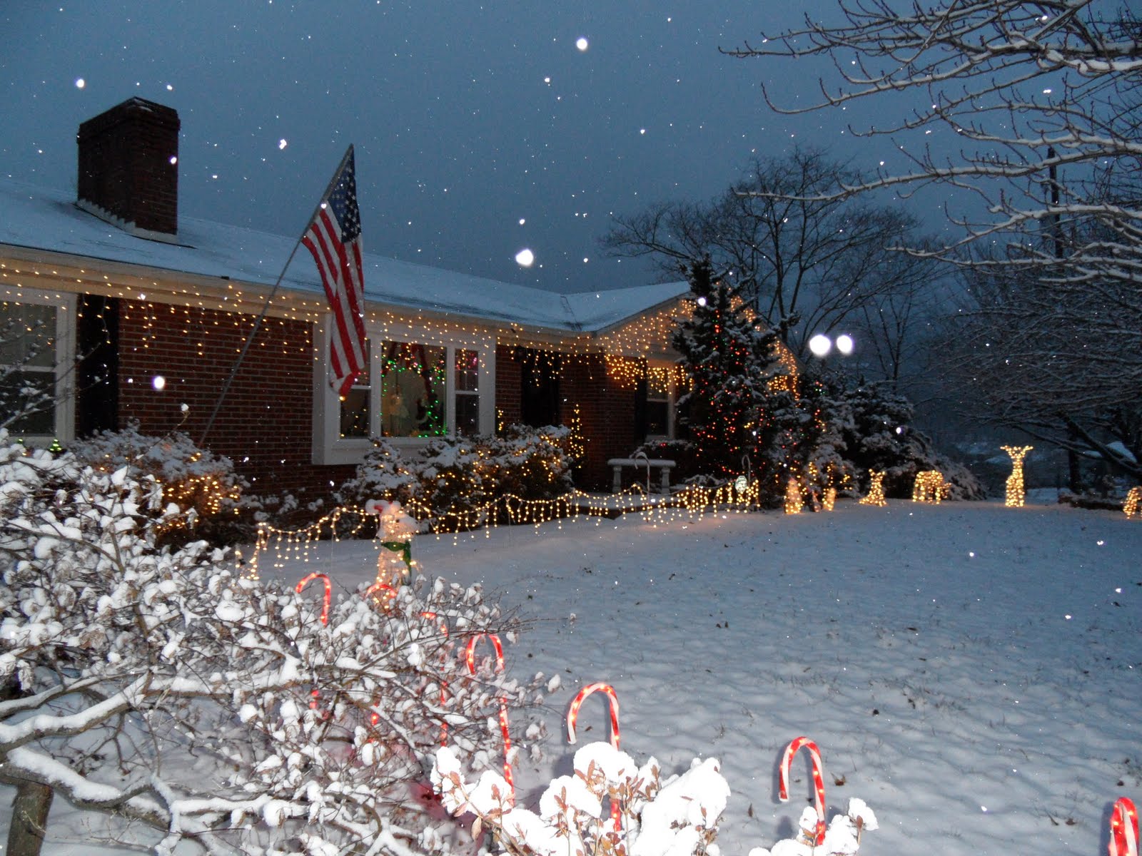 MsElenaeous Pics White Christmas Night in Roanoke