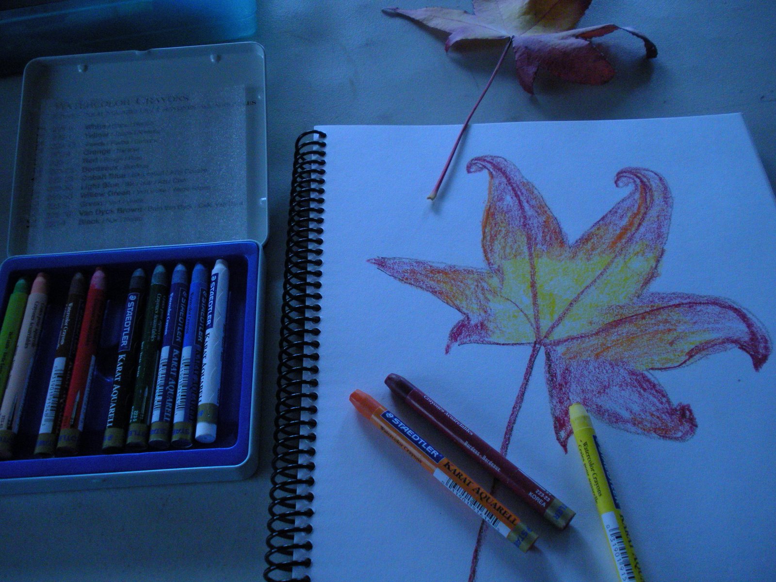 [watercolor+crayons+and+journal.jpg]