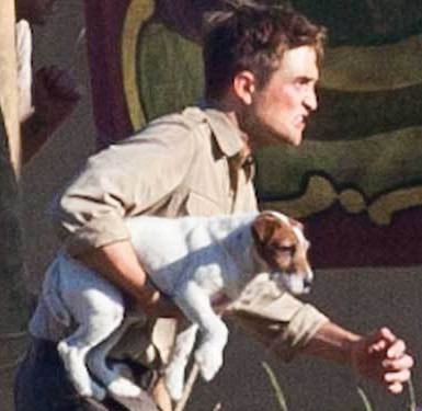 robert pattinson dog martin. with a new robert Hitchcock sat down withmar , hair cut Hottest things about robert , talks water Robert+pattinson+dog+water+for+elephants