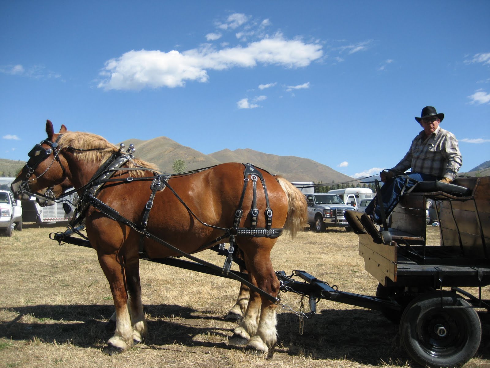 Rodeo Tales & Gypsy Trails Jerkline