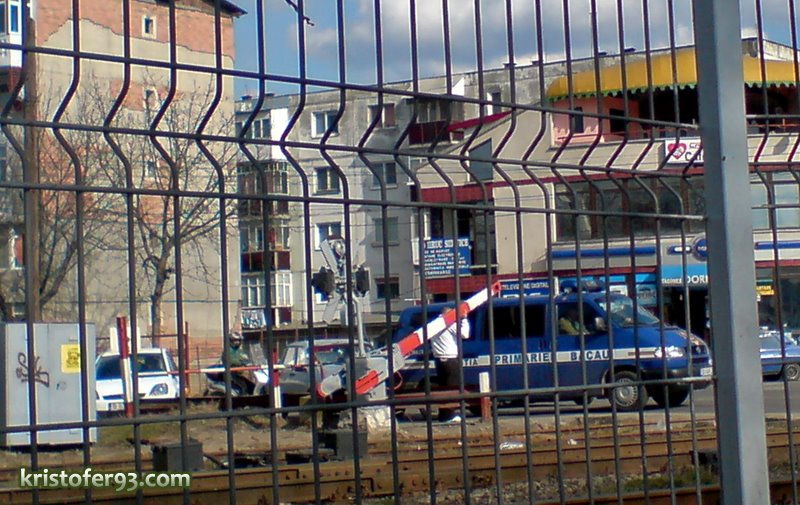 [DSC00230.JPG]