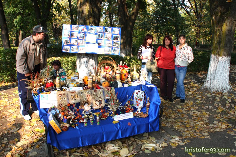 [IMG_8844.JPG]