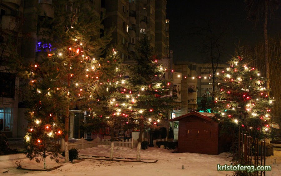 [IMG_7306.JPG]