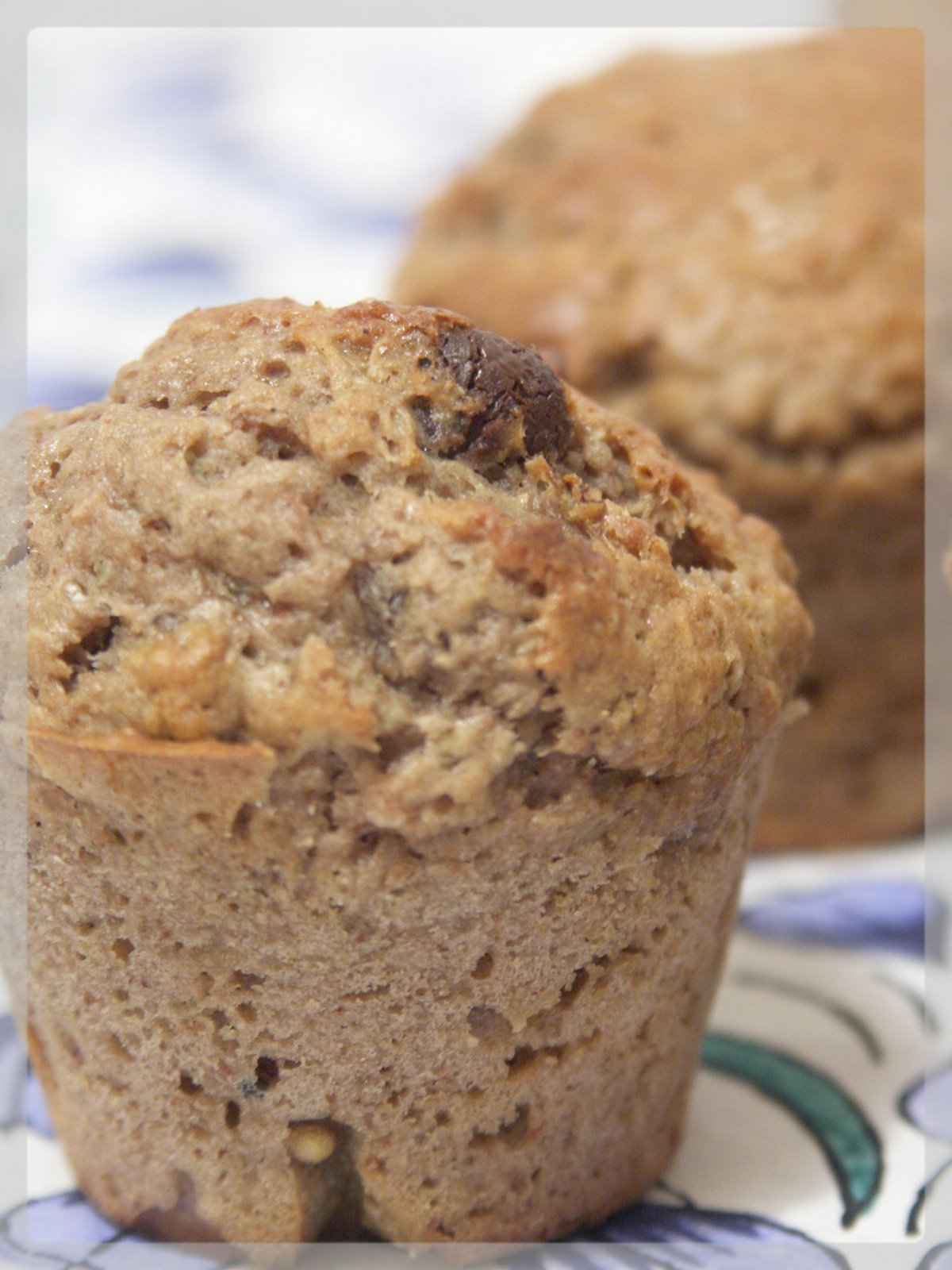 [Janvier+2008+467.jpg]