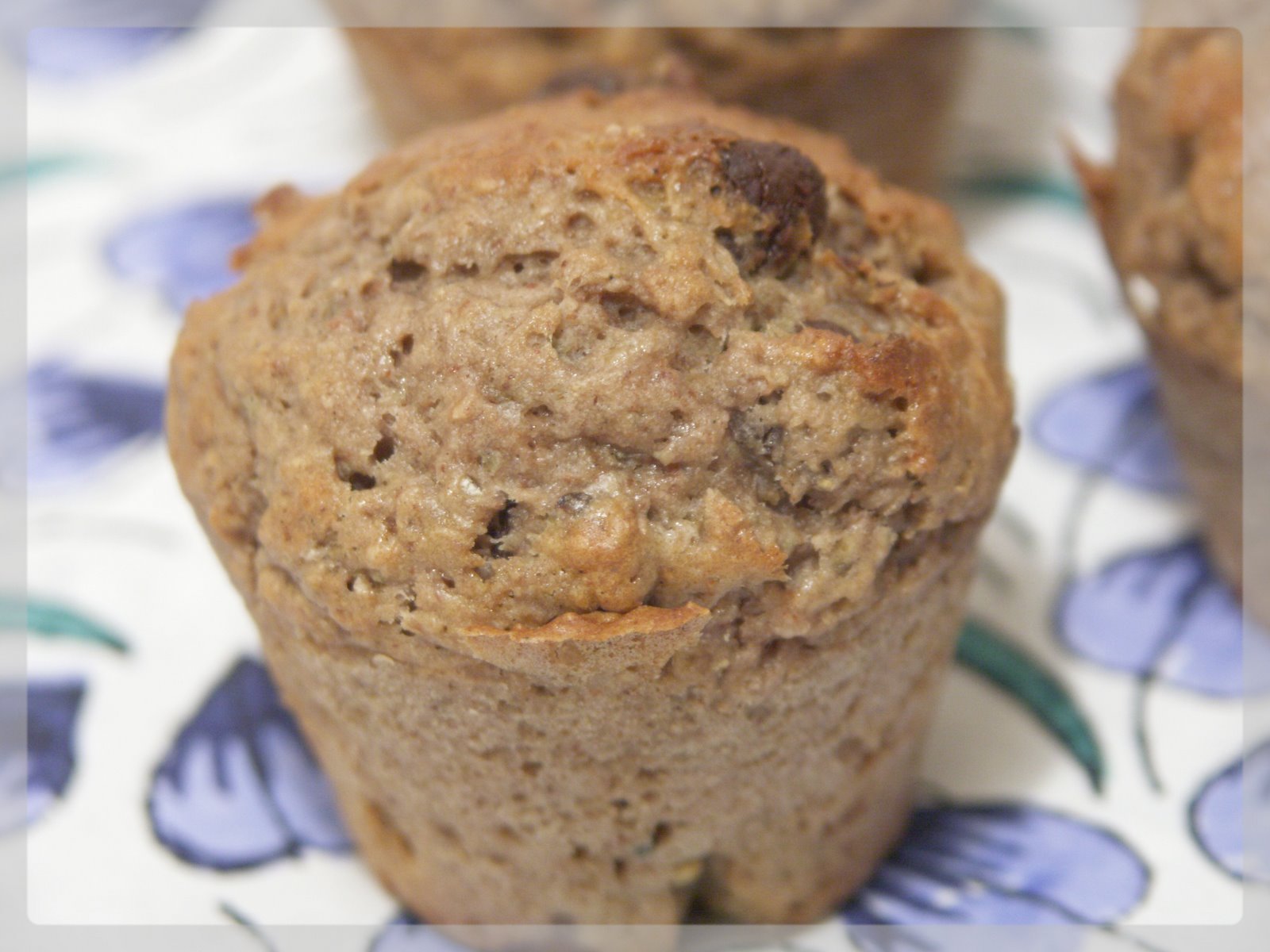 [Janvier+2008+469.jpg]