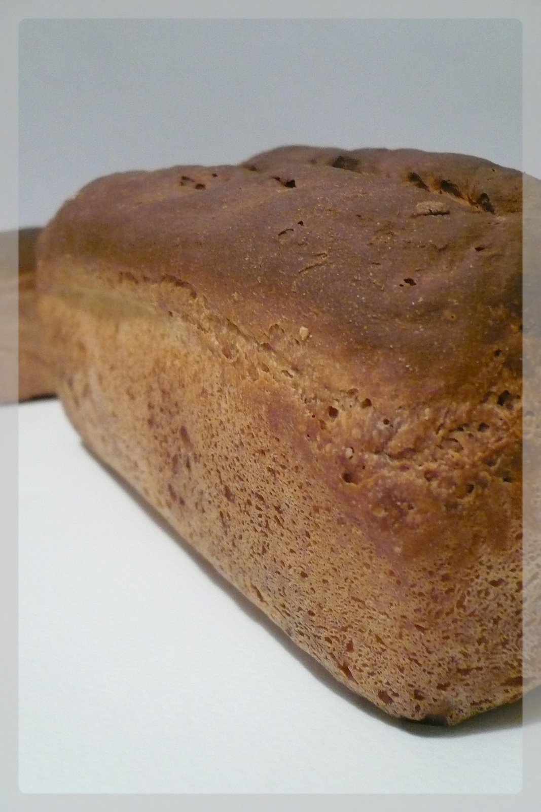 [Novembre+2007+120.jpg]